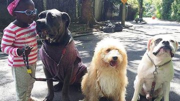 Titi e os cachorros da família - Instagram