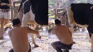 A Fazenda: Rafael Ilha se atrapalha ao ordenhar vaca e leva coice - Reprodução Instagram