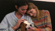 Bruna Marquezine, Sasha Meneghel Szafir e Amêndoa - Reprodução / Instagram