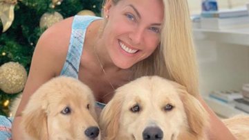 Ana Hickmann educa cachorro para auxiliar deficientes visuais - Reprodução / Instagram