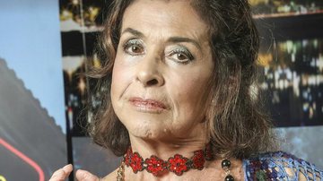 Betty Faria em 'A Dona do Pedaço' - Divulgação/Globo/João Miguel Junior