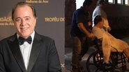 Tony Ramos é flagrado em cadeira de rodas - Bebeto Karolla/ Folha de Búzios / Divulgação/ TV Globo