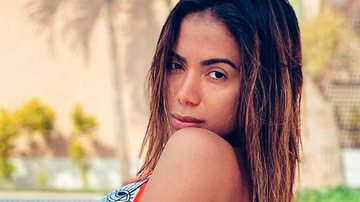 Anitta apaga ex-marido de foto - Reprodução/Instagram