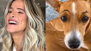 Ingrid Guimarães diverte web ao pintar sobrancelha em cadelinha de estimação: "Tá bonita" - Reprodução/Instagram
