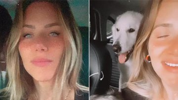Giovanna Ewbank registra perrengue fofo com cachorros de estimação - Instagram