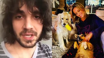 Após Fiuk justificar motivo para deixar cachorros em abrigo, Luisa Mell detona atitude - Instagram