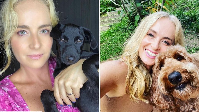 Mãe de Pet assumida, Angélica adota Latina, nova integrante da família: "Esse amor incondicional dos animais faz a diferença" - Reprodução/Instagram