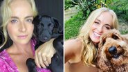 Mãe de Pet assumida, Angélica adota Latina, nova integrante da família: "Esse amor incondicional dos animais faz a diferença" - Reprodução/Instagram