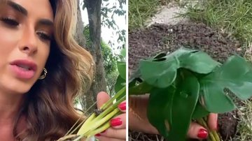Nicole Bahls planta muda de plástico por engano - Instagram