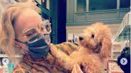 Angélica compartilha momento de fofura com cachorros em Nova York - Reprodução/Instagram
