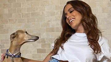 Anitta mostra pet com look de R$ 2200 - Reprodução/Instagram