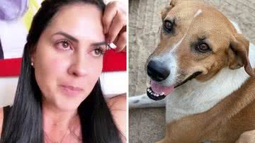 Graciele Lacerda se desespera ao perceber que sua cachorra sumiu: "Meu coração chega a doer" - Reprodução/Instagram