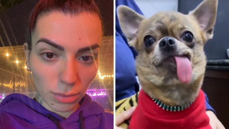 Filha de Mauricio Mattar relata susto em acidente com cachorrinho: "Tentei fazer respiração boca a boca" - Reprodução/Instagram