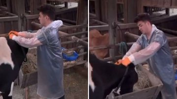 A Fazenda: Público pede expulsão de peão após comportamento com os animais: "Inaceitável" - Reprodução/ Instagram