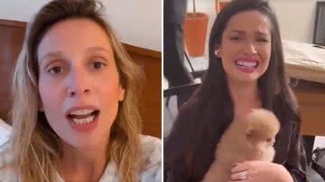 Luísa Mell acusa Juliette de lucrar com novos filhotes de cachorro: "Pra fazer propaganda" - Reprodução/Instagram