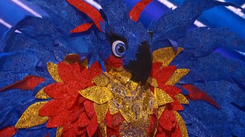 Pista sobre a Arara do 'The Masked Singer Brasil' traz clareza - Reprodução/TV Globo