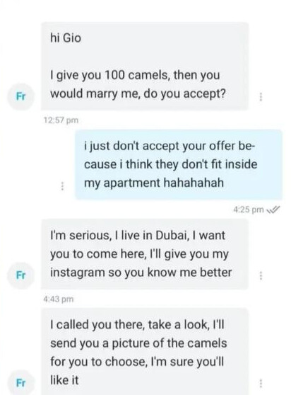 Fã oferece 100 camelos para que modelo brasileira se case com ele