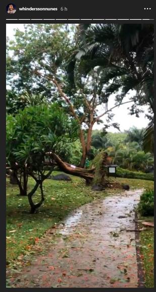 Whindersson documenta destruição do ciclone