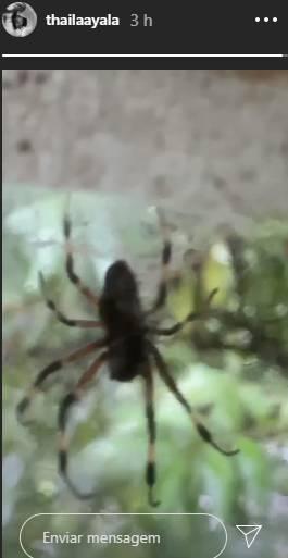 Thaila Ayala grava aranha gigante na janela de sua casa